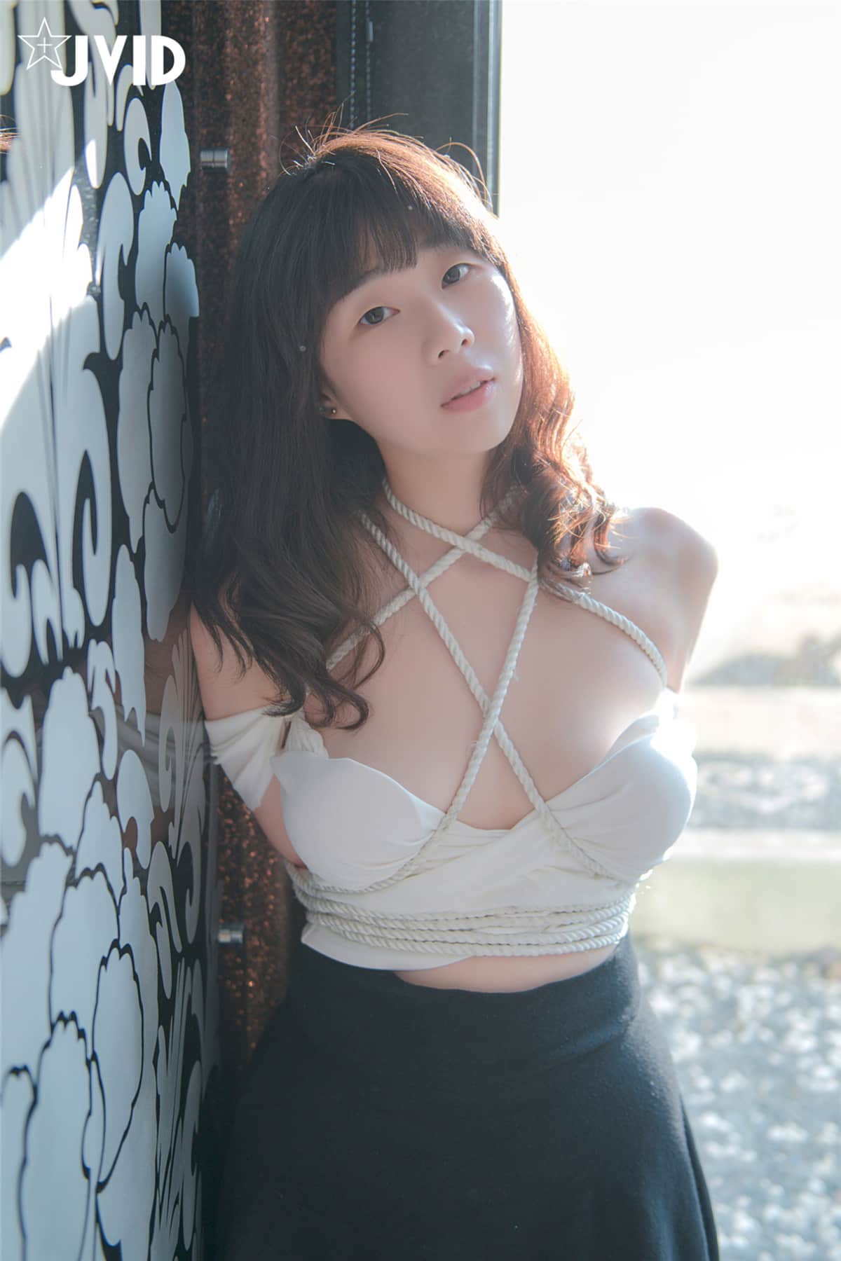 jvid 全系列性感美图-完整超大写真资源合集下载