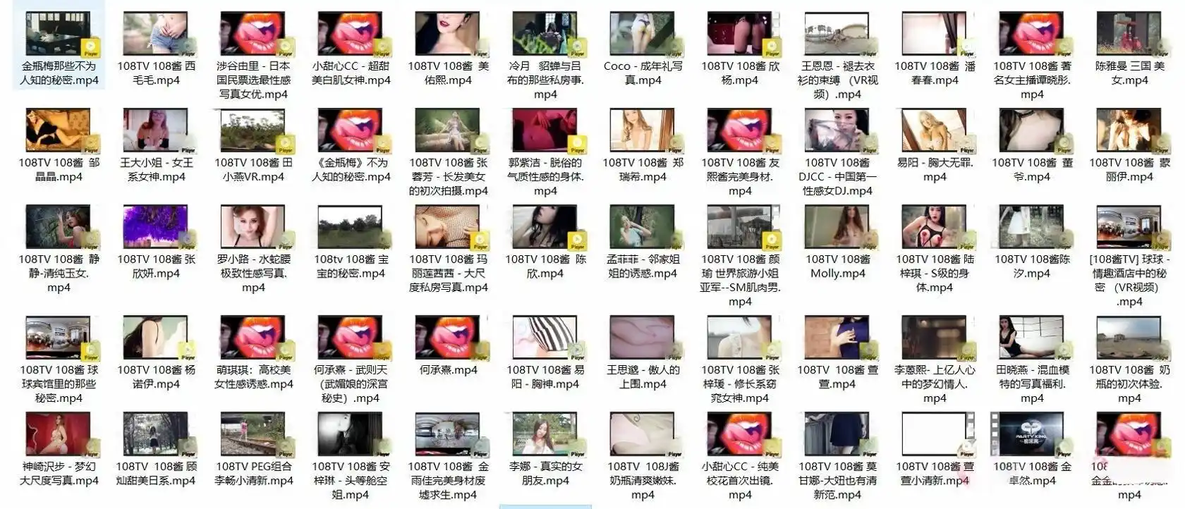 108TV酱 写真视频资源合集下载