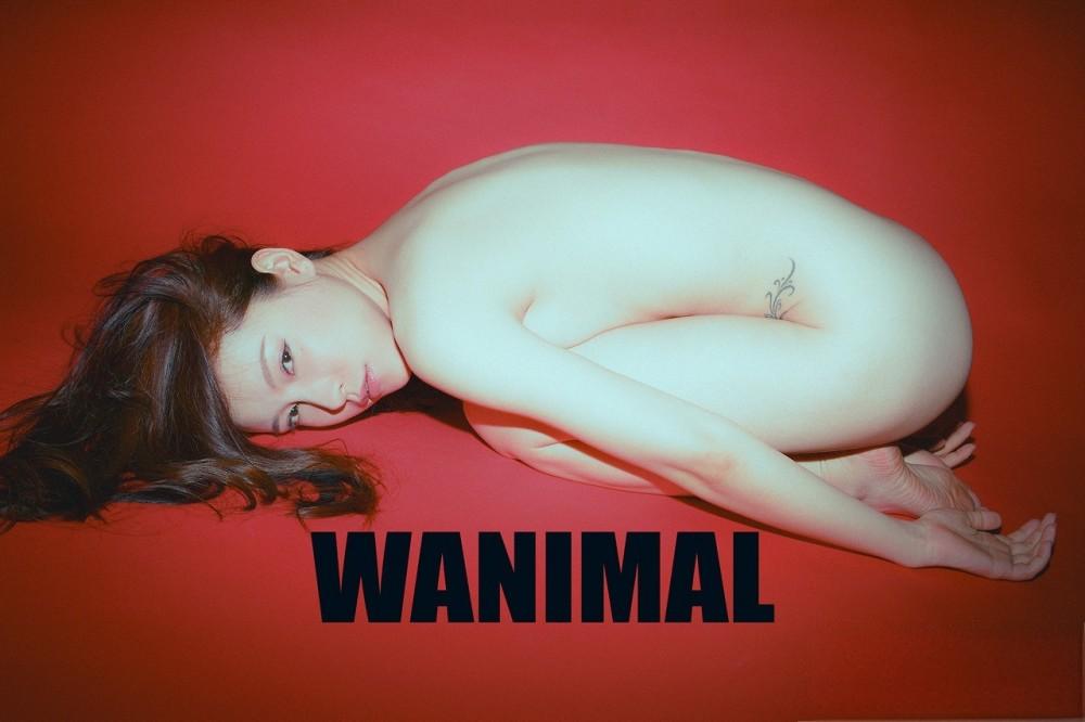 WANIMAL王动 摄影作品全集超高清图集 WANIMAL王动 摄影作品全集超高清图集