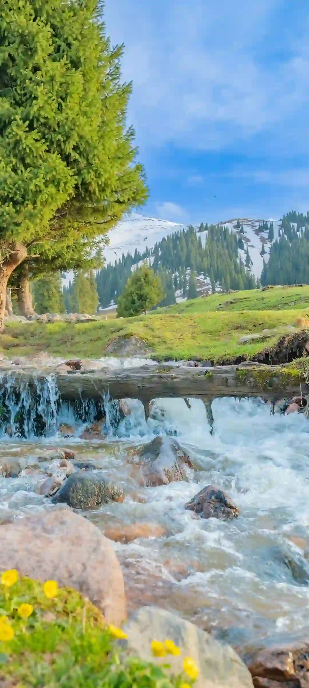 精选风景主题手机壁纸展示