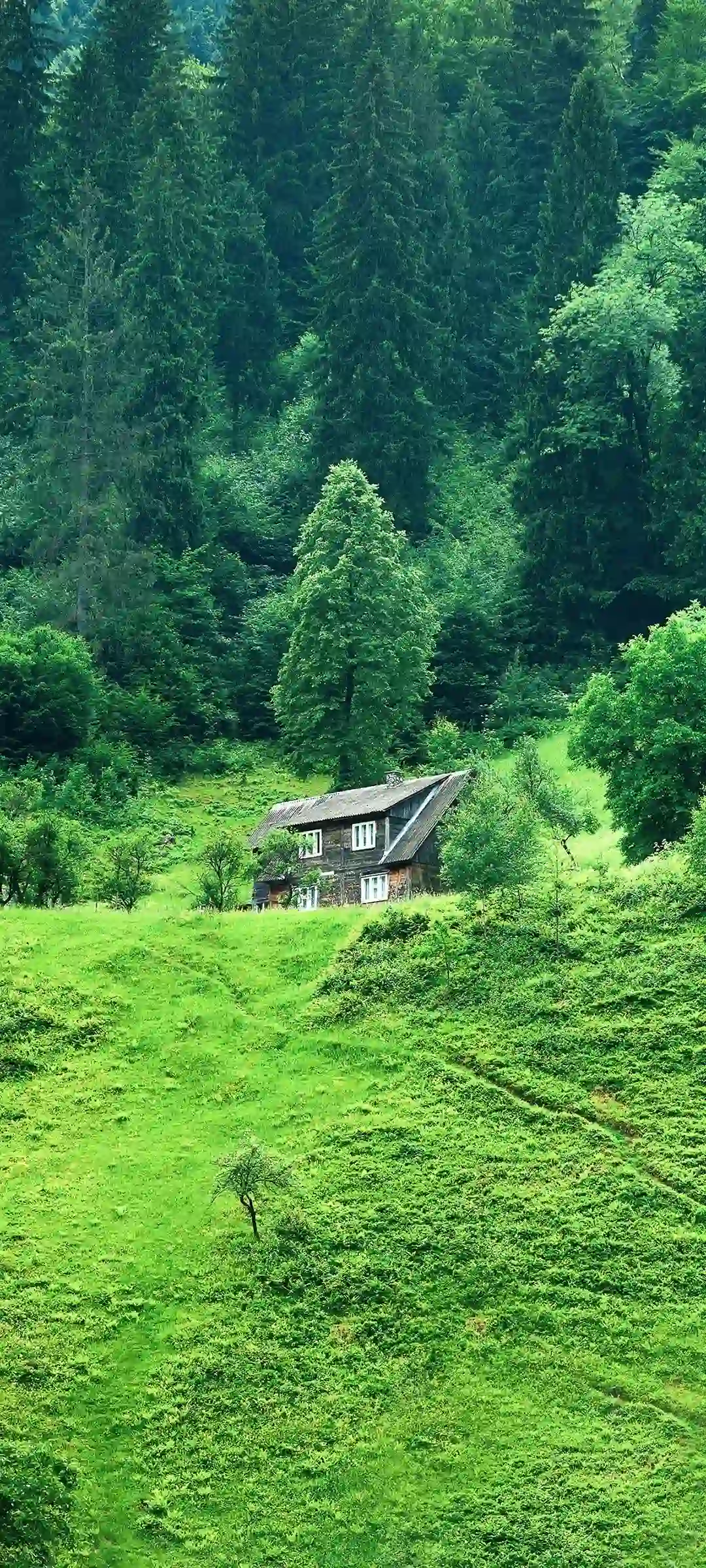 自然风景层次光影手机壁纸