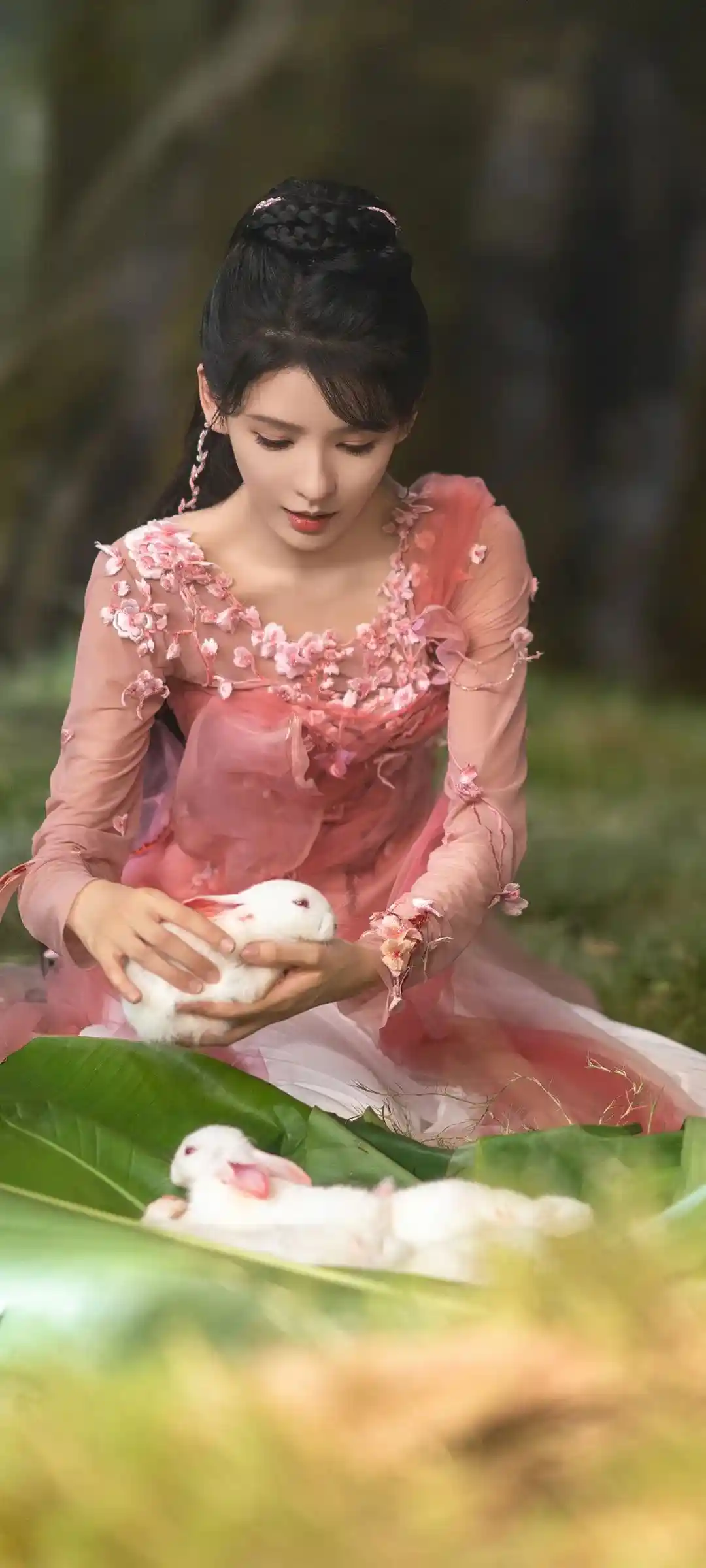 张予曦人物气质手机壁纸设计