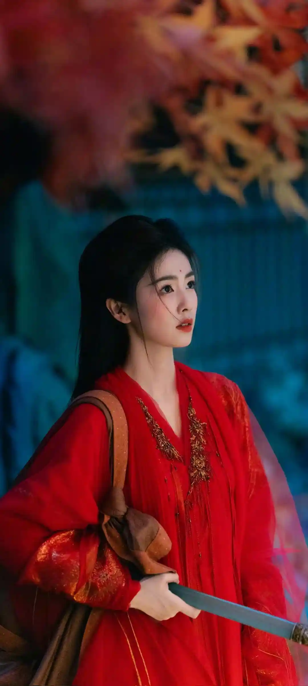 清新自然白鹿森林画面