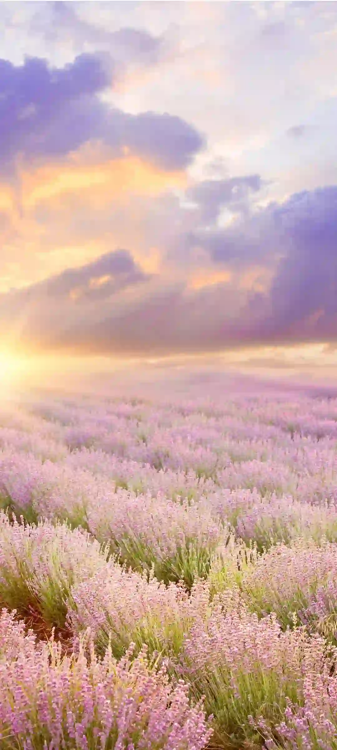 精选风景主题手机壁纸展示