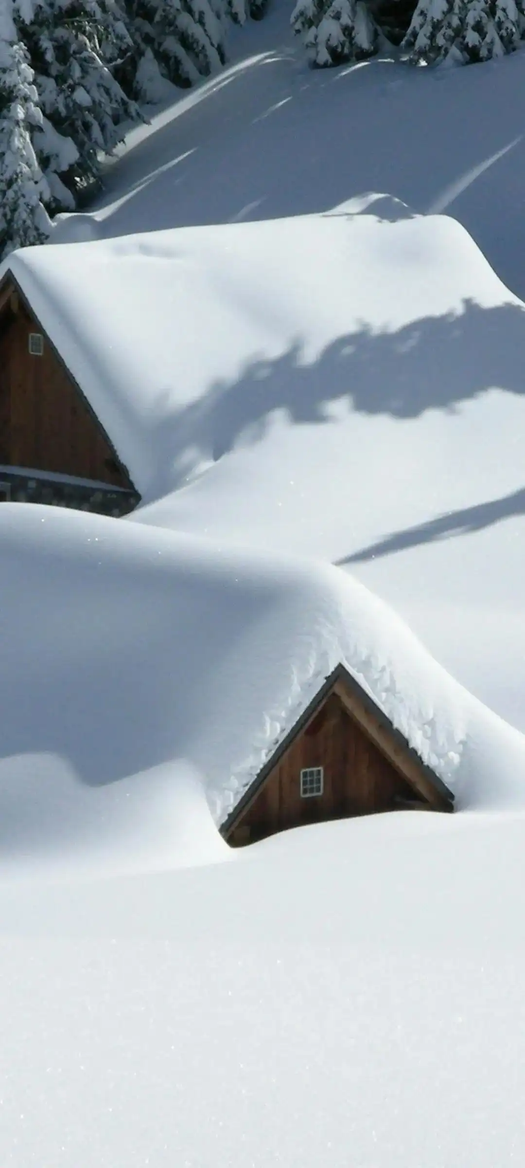 冬季雪景手机壁纸设计
