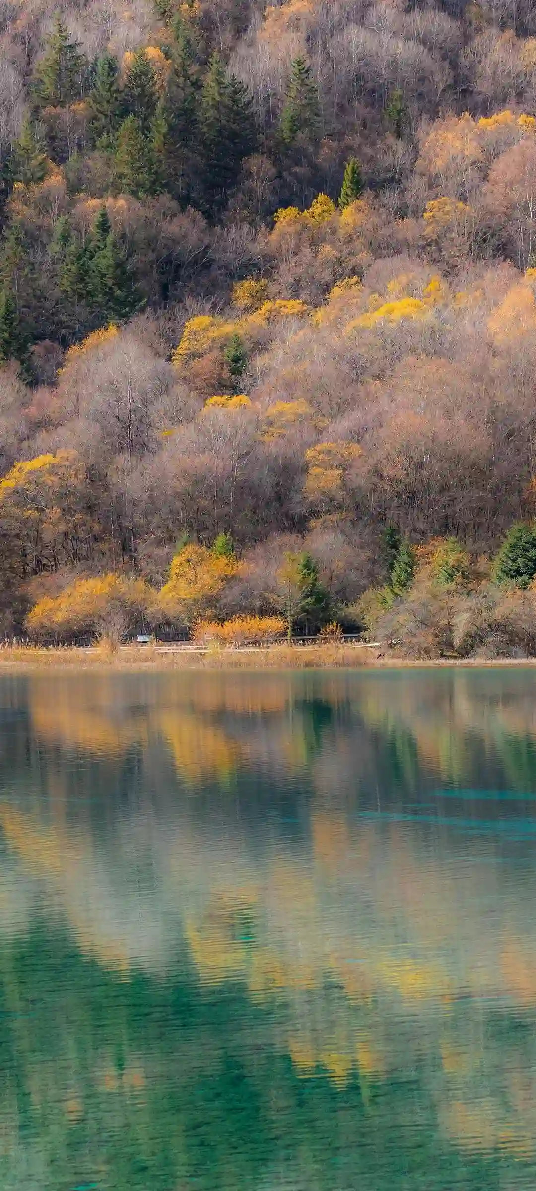 自然场景动漫角色手机壁纸