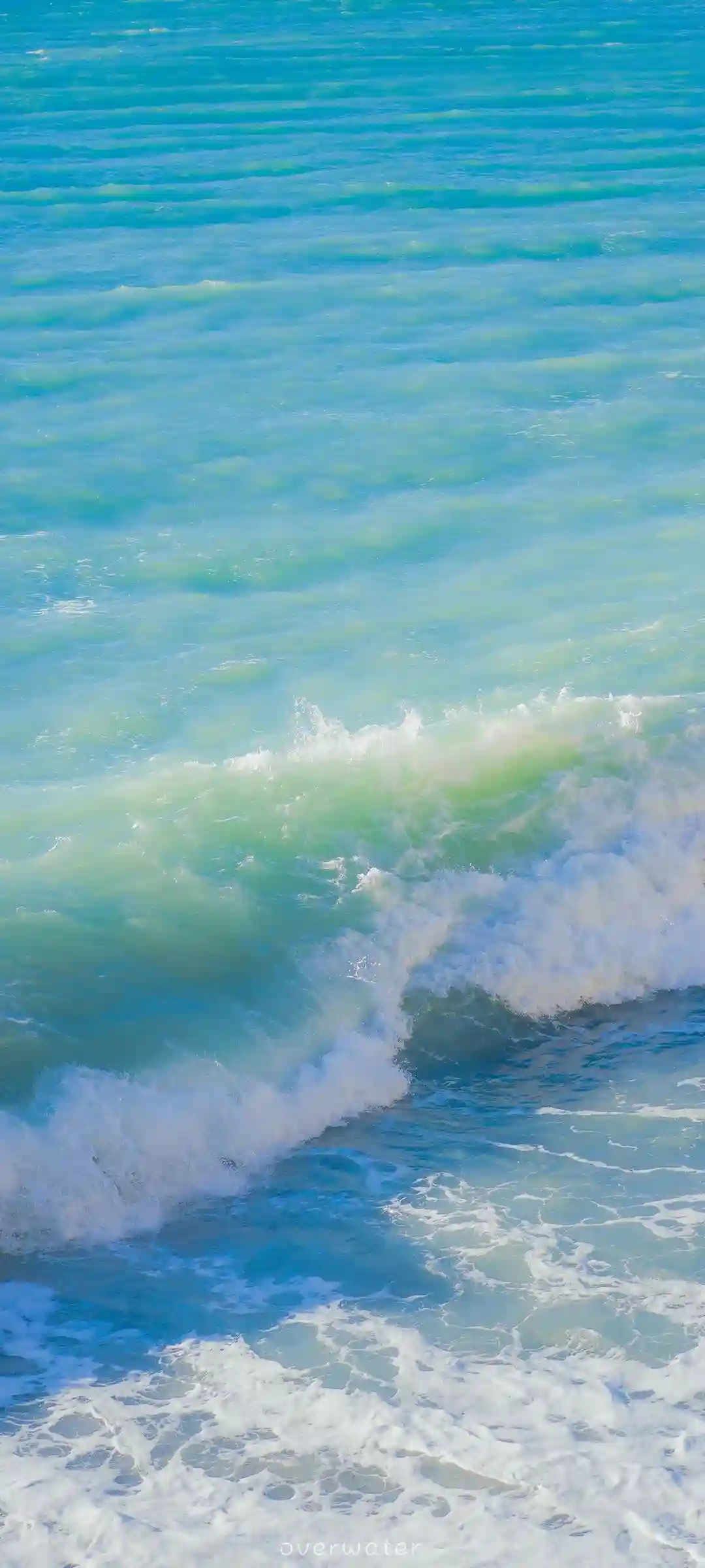 风景人物全面屏壁纸