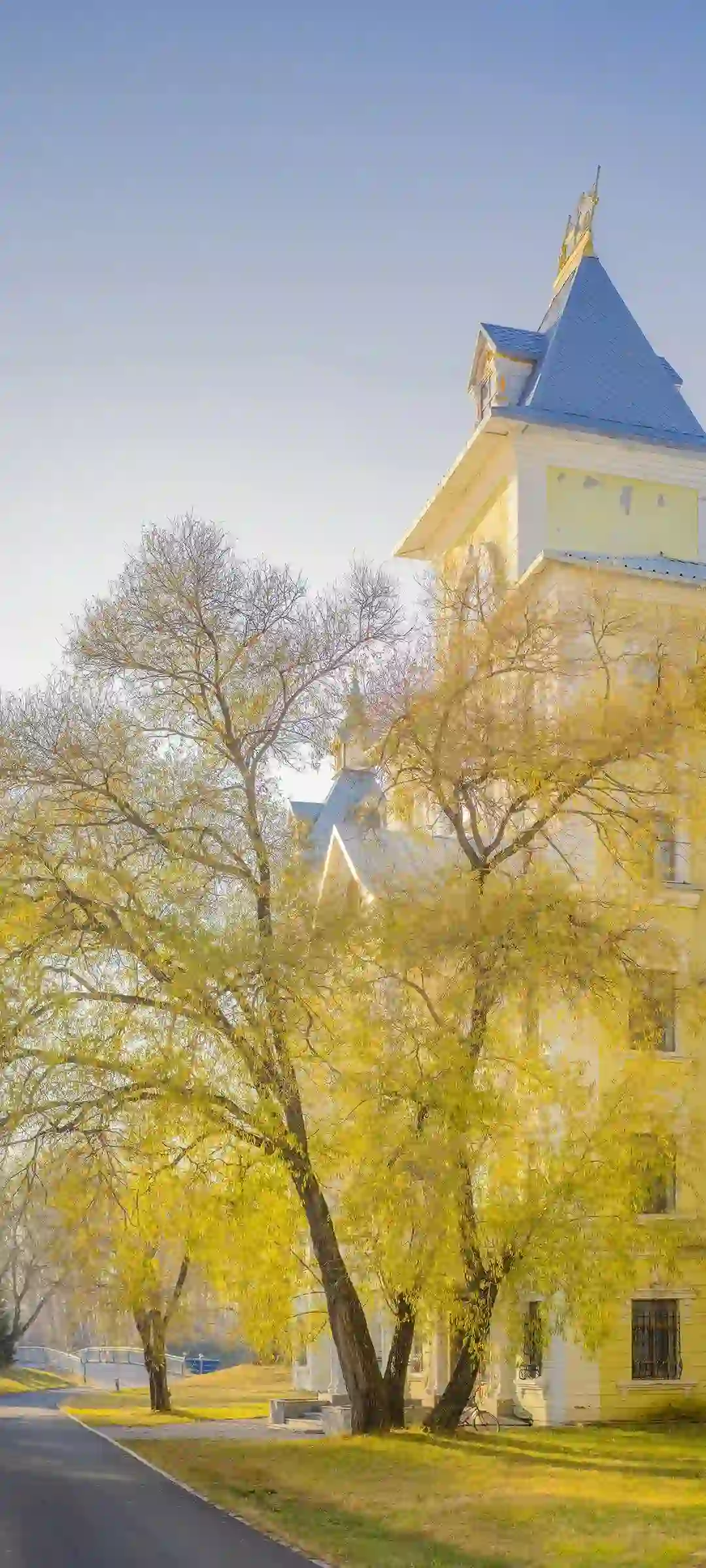 新年叶子与财神手机壁纸设计