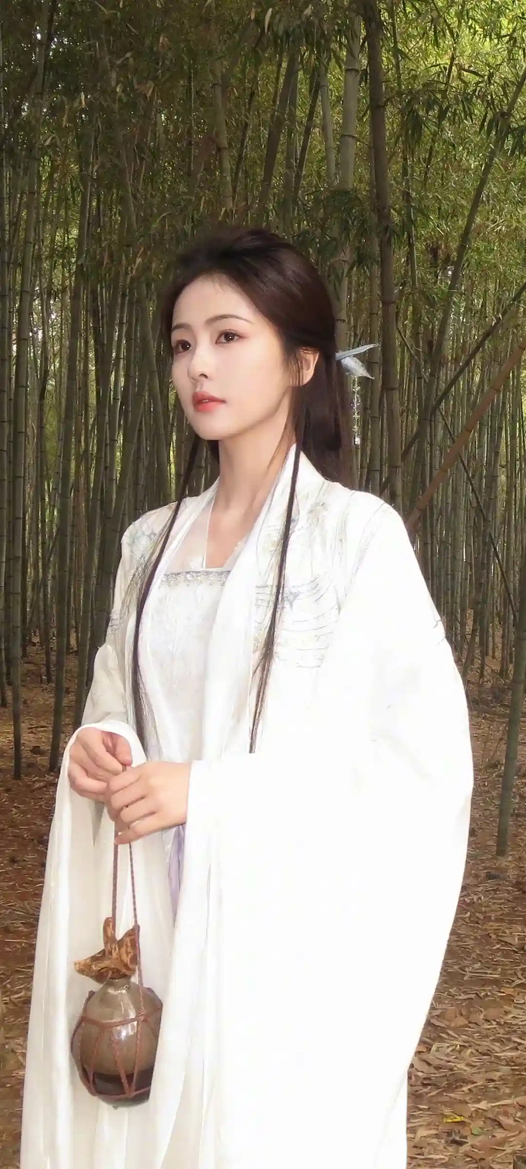 白鹿人物视觉壁纸