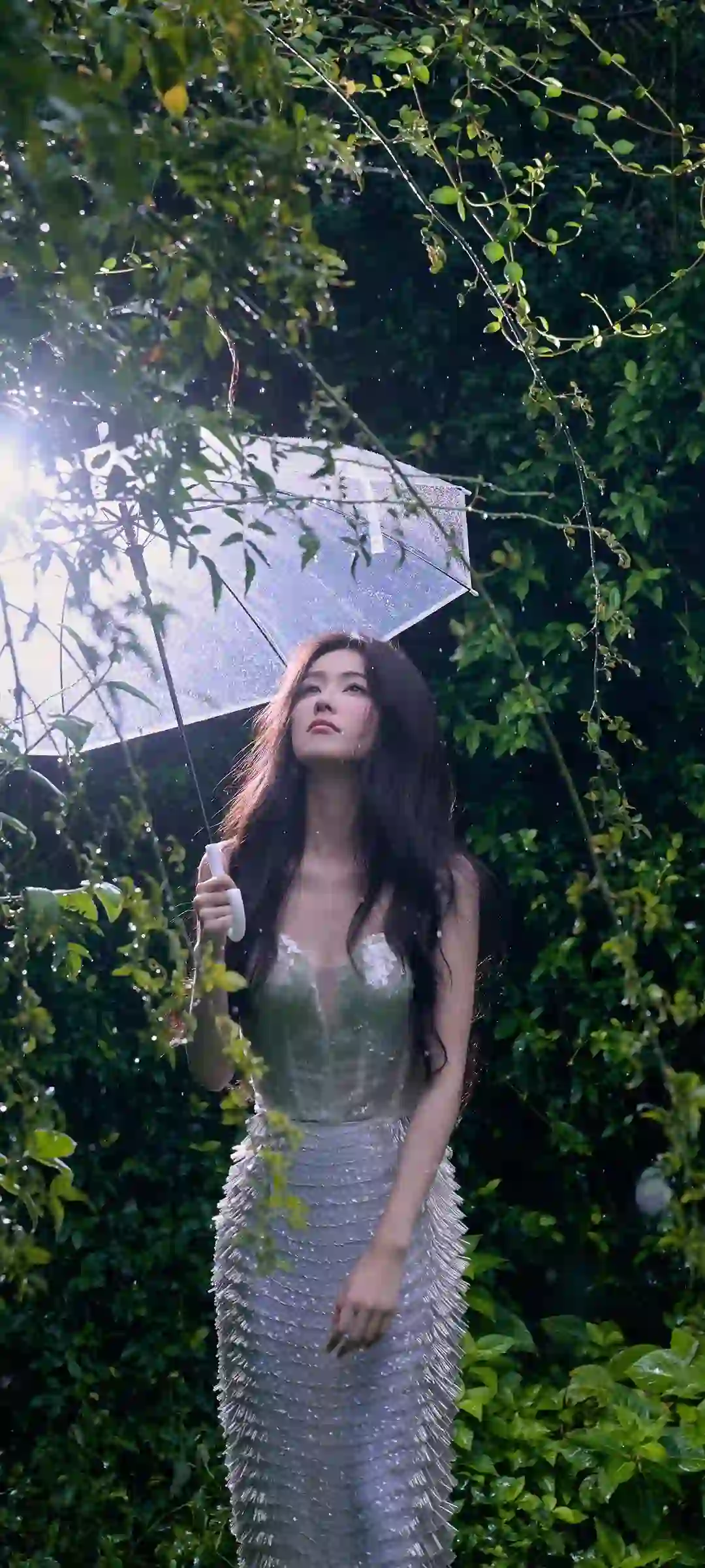 清新自然白鹿森林画面