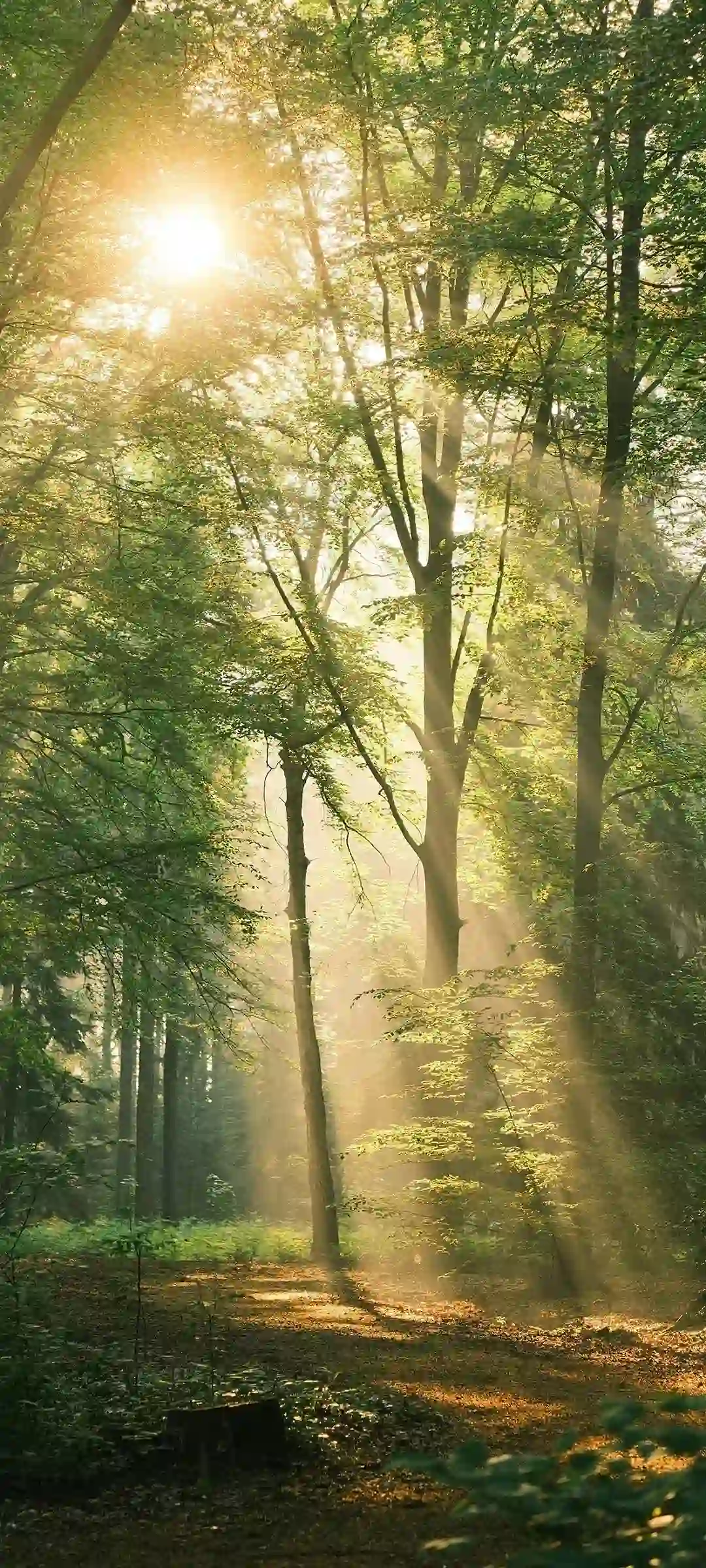 雪景与美女结合手机壁纸设计