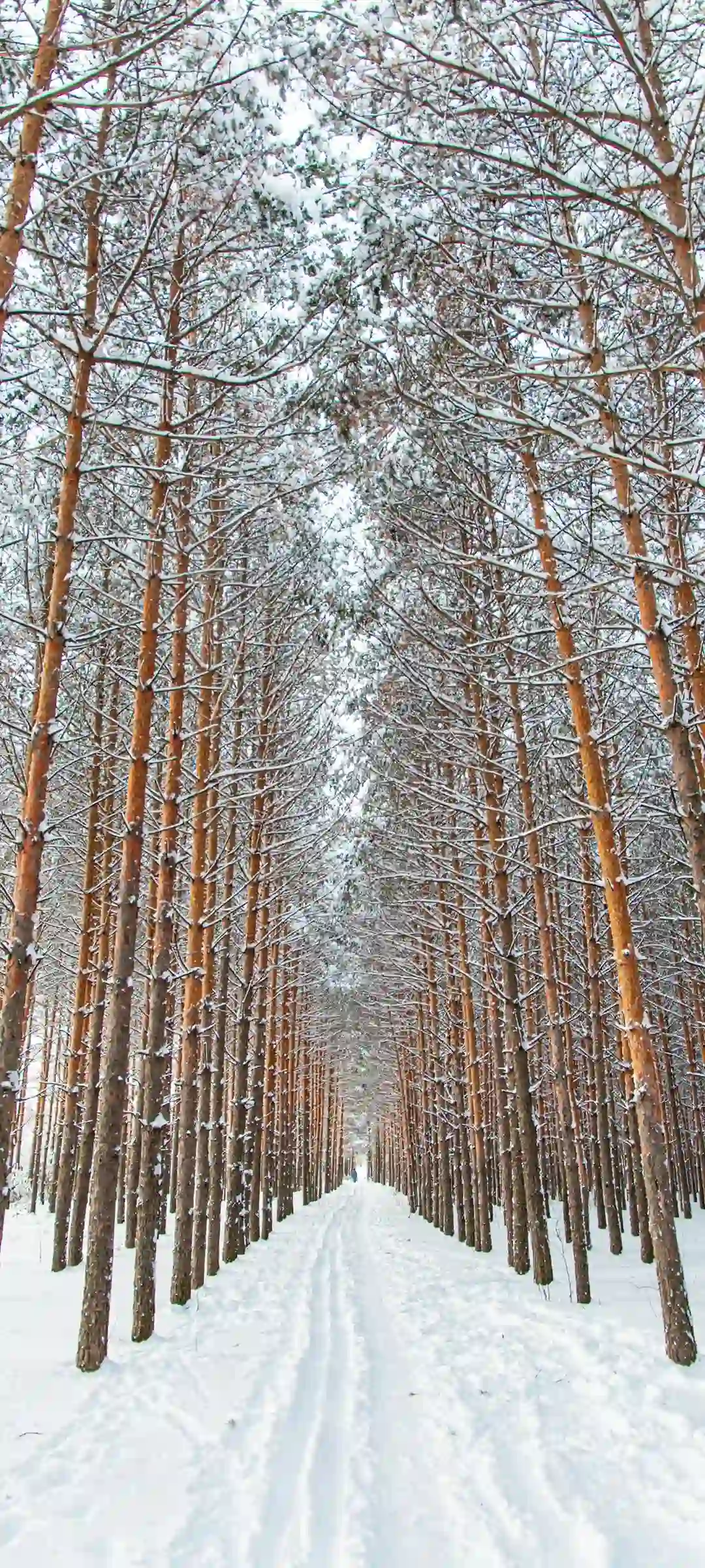 冬日雪景街景动漫风画面