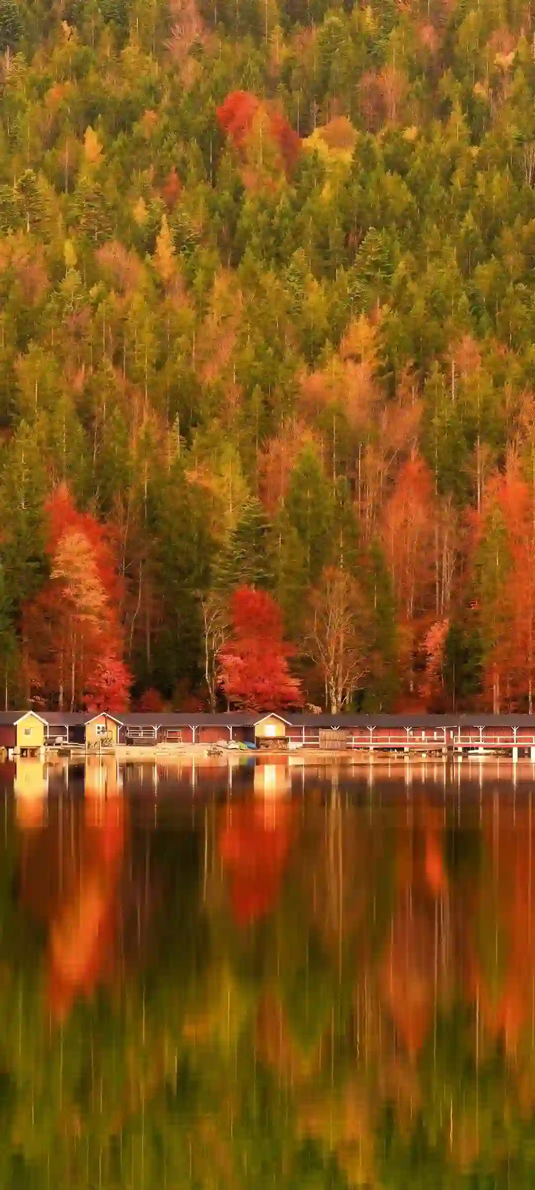 自然风光清新山水画面
