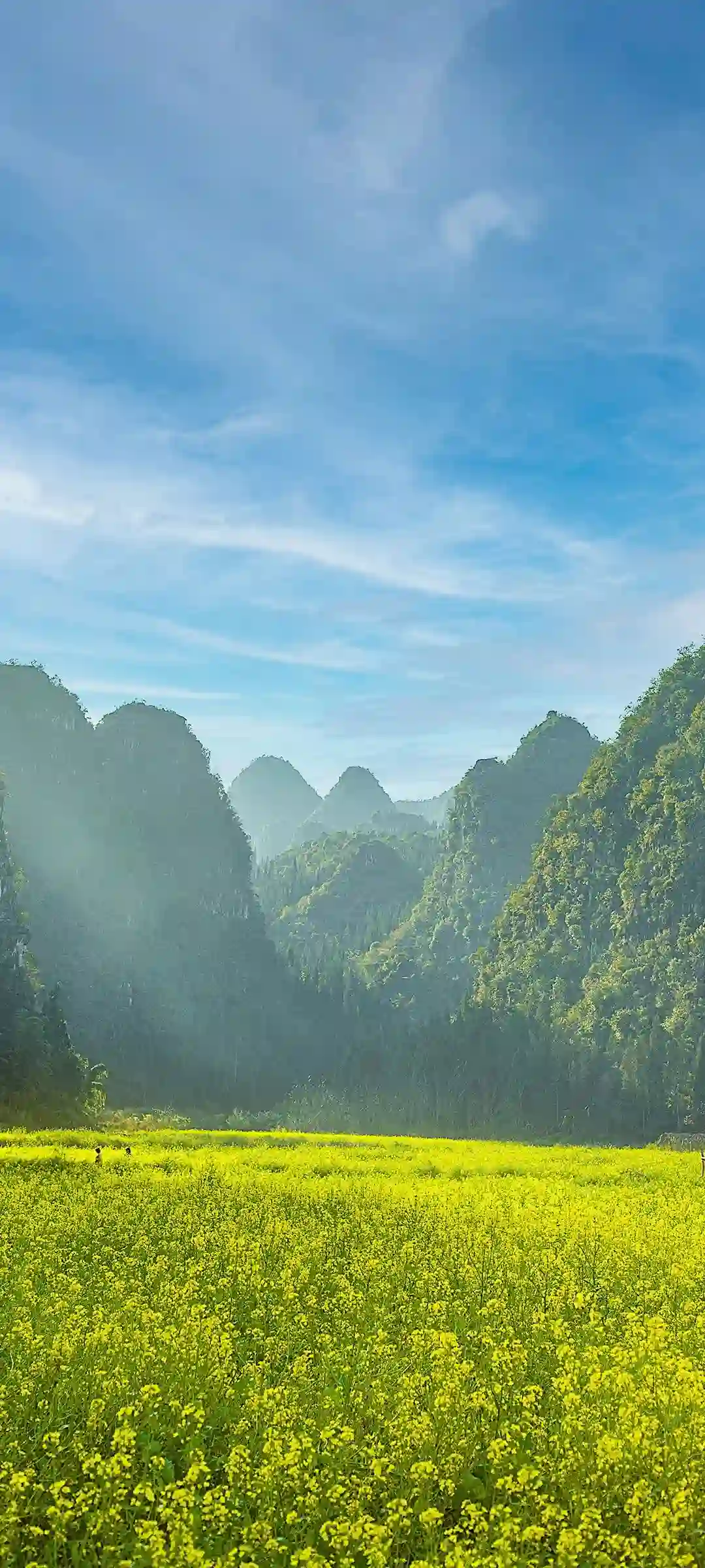 手机竖屏视觉风格壁纸