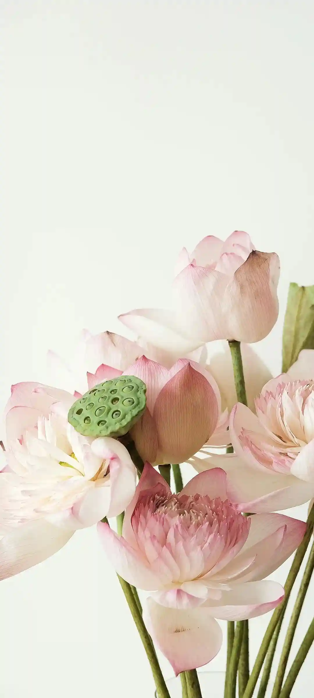 汉服古风庭院写真手机壁纸设计