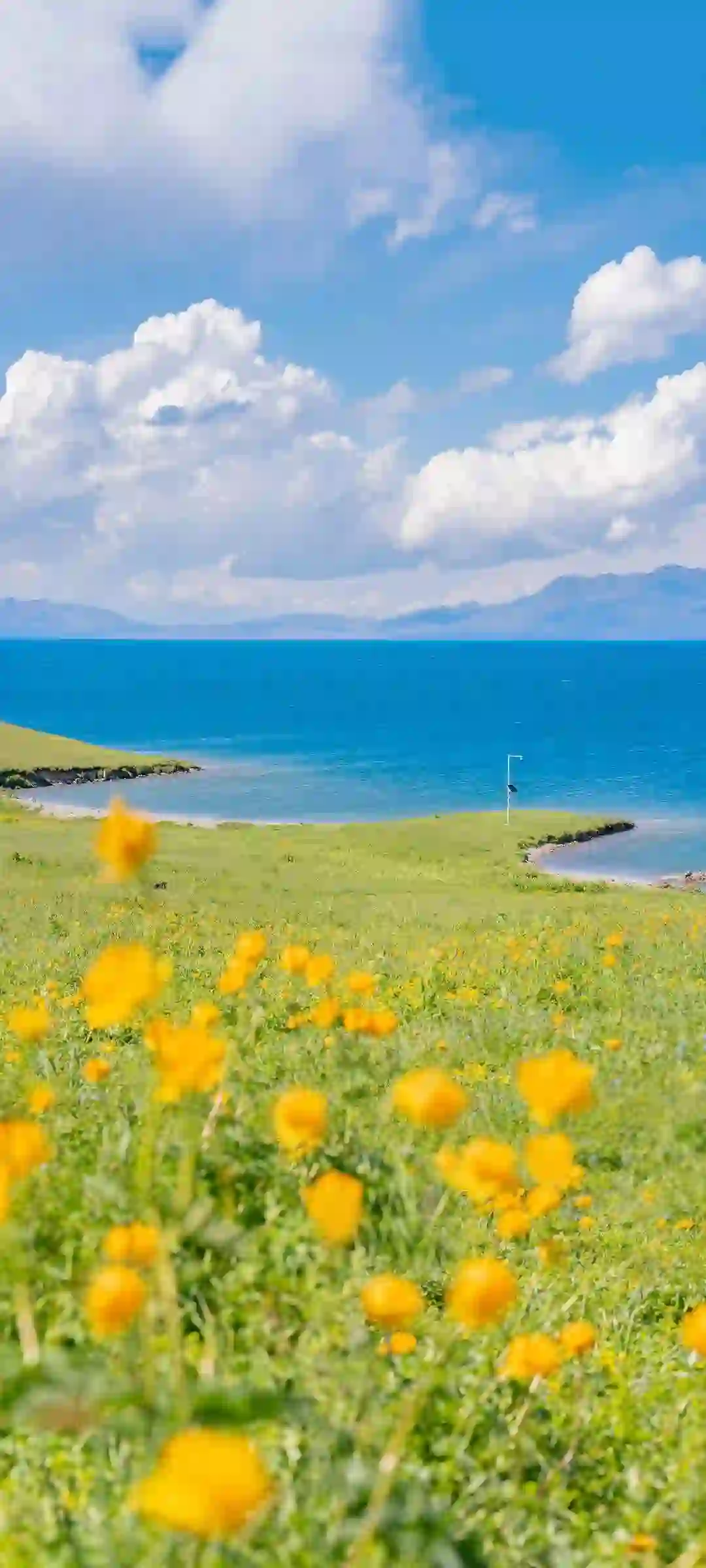 精选风景主题手机壁纸展示