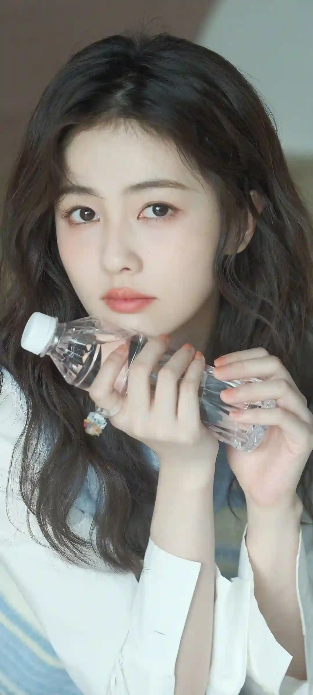 白鹿主题手机壁纸优雅光影展示