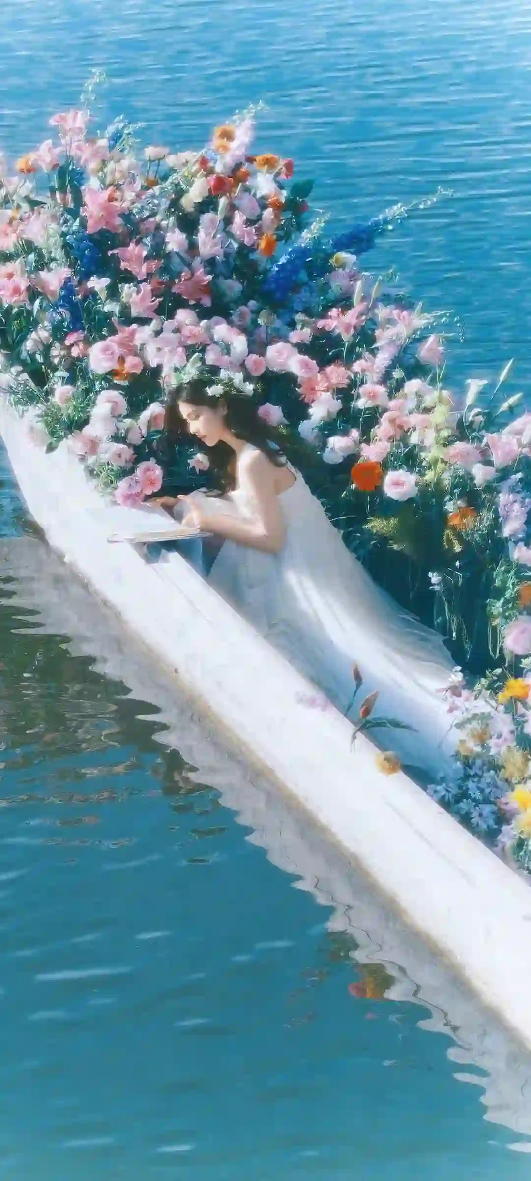 白鹿主题手机壁纸优雅光影展示