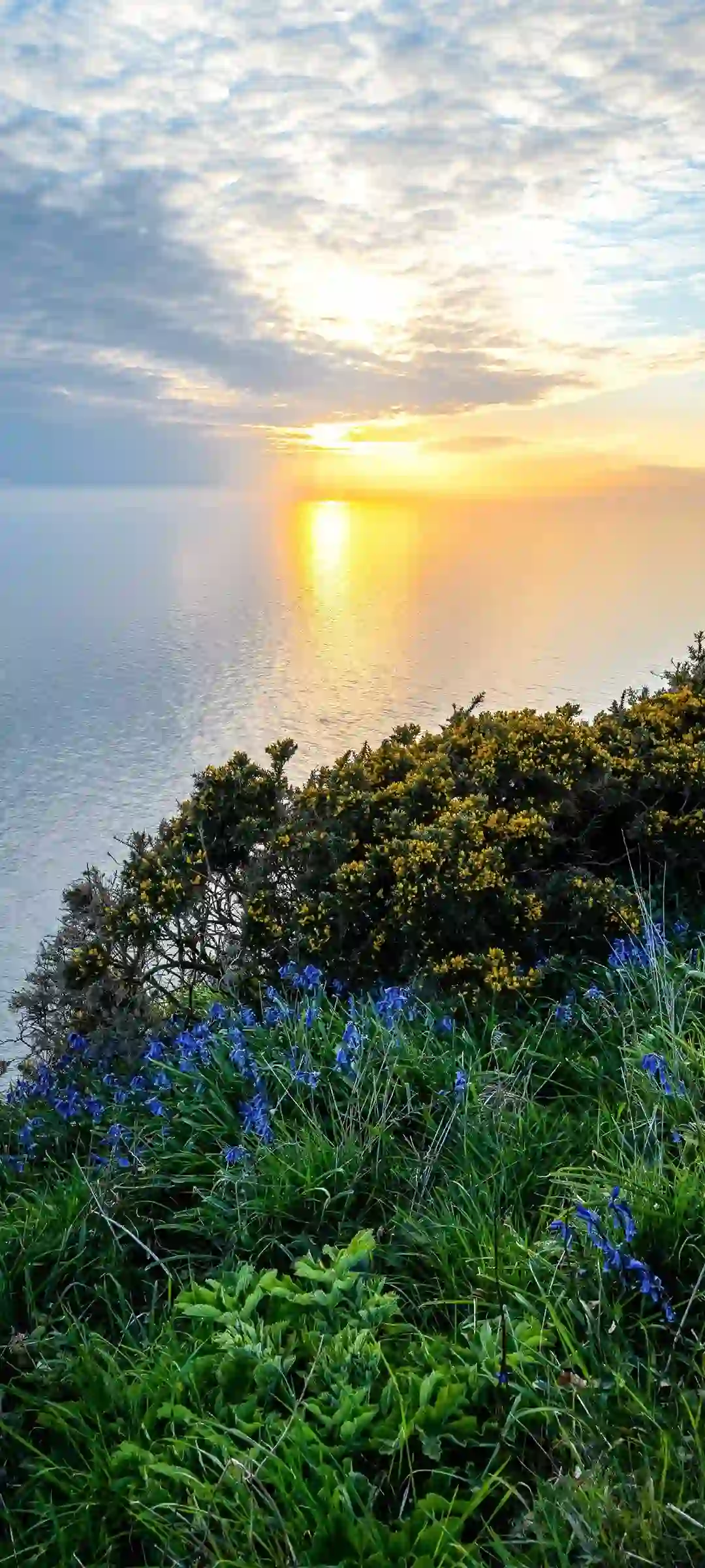 秋景手机壁纸合集