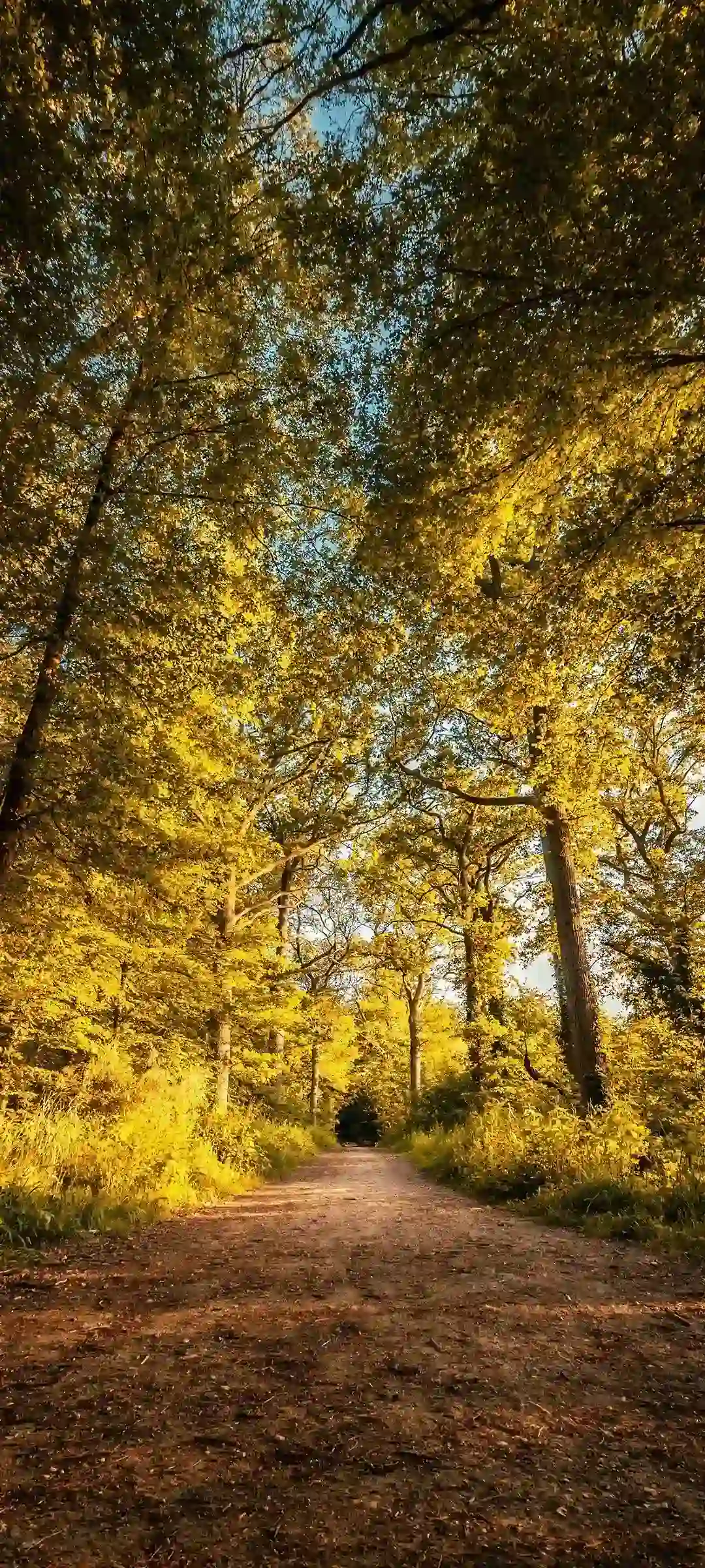 风景融合人物全面屏壁纸