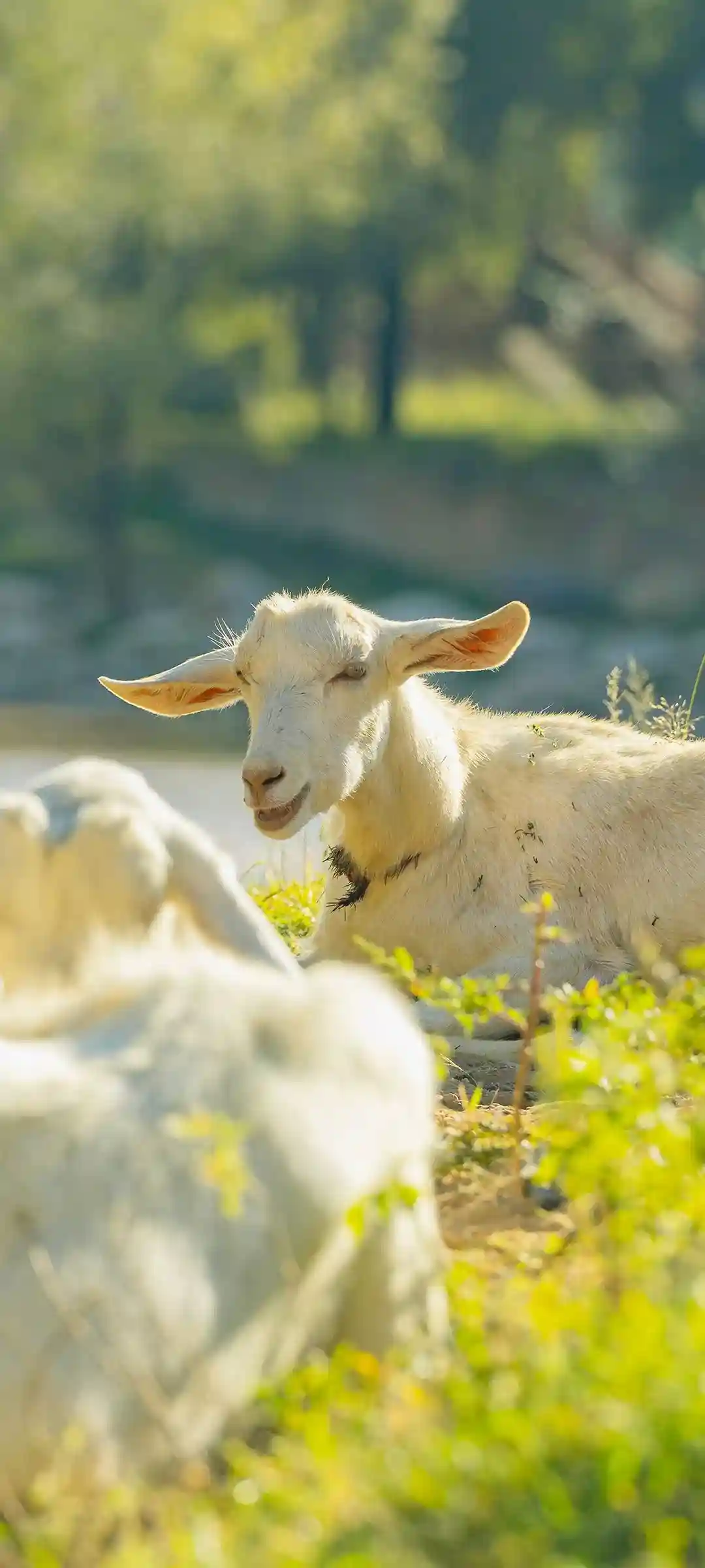 个性化风景、高达、金克斯手机壁纸