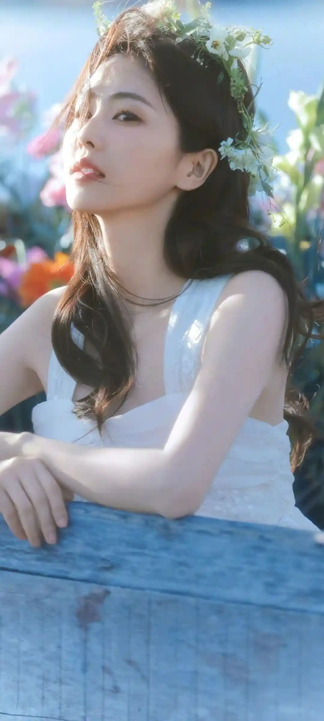 白鹿主题手机壁纸优雅光影展示