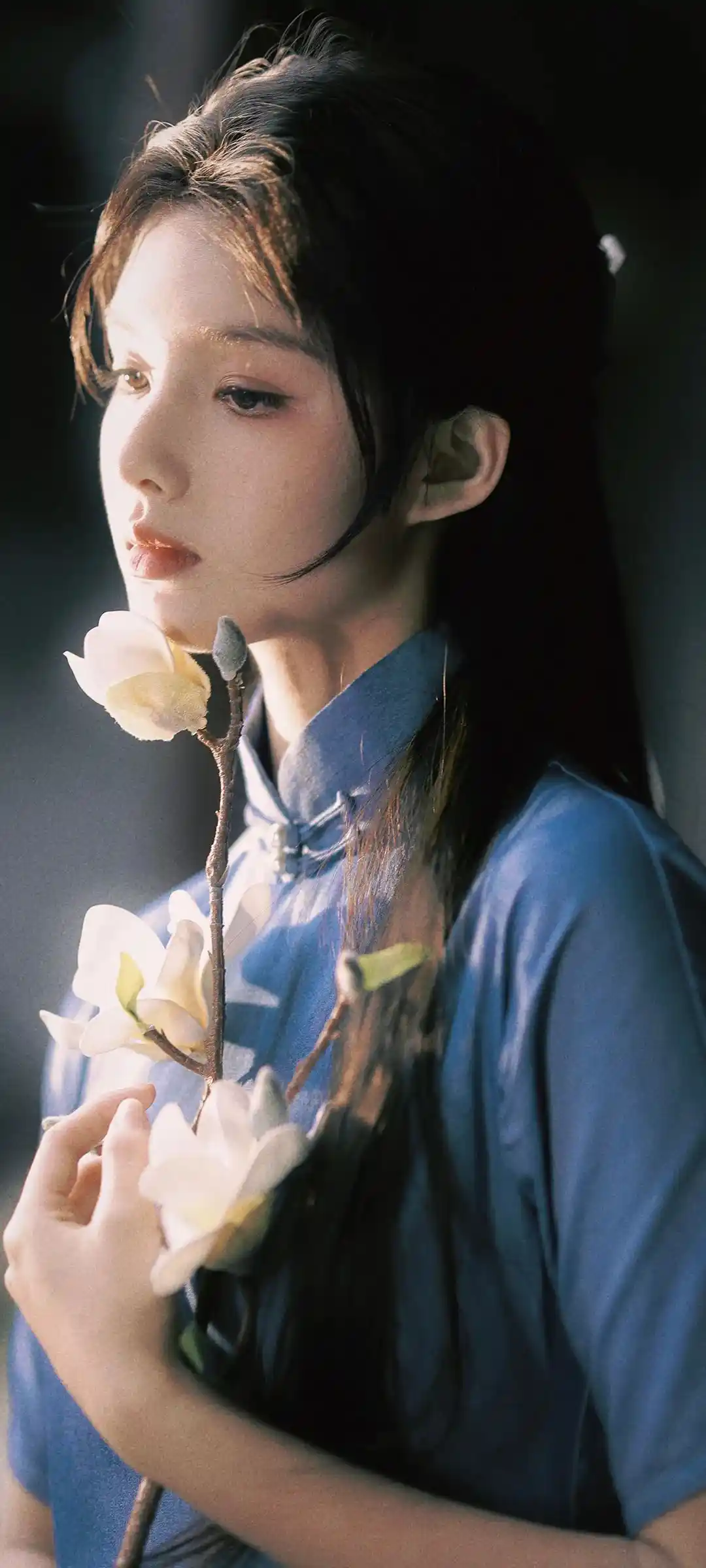 柔光花景动漫人物画面